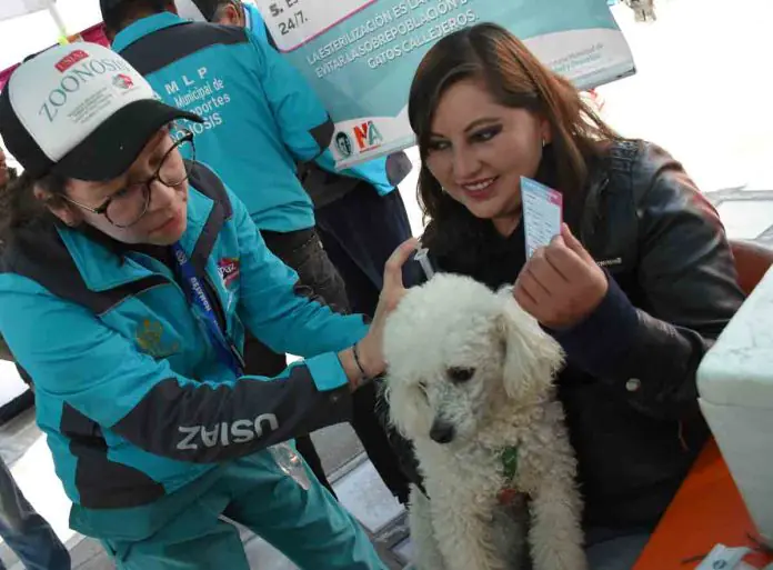 La Paz se prepara para la campaña de vacunación contra la rabia