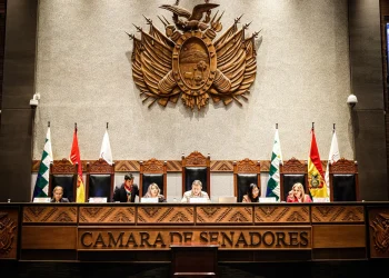 Senado aprueba en grande proyecto de ley para elecciones subnacionales