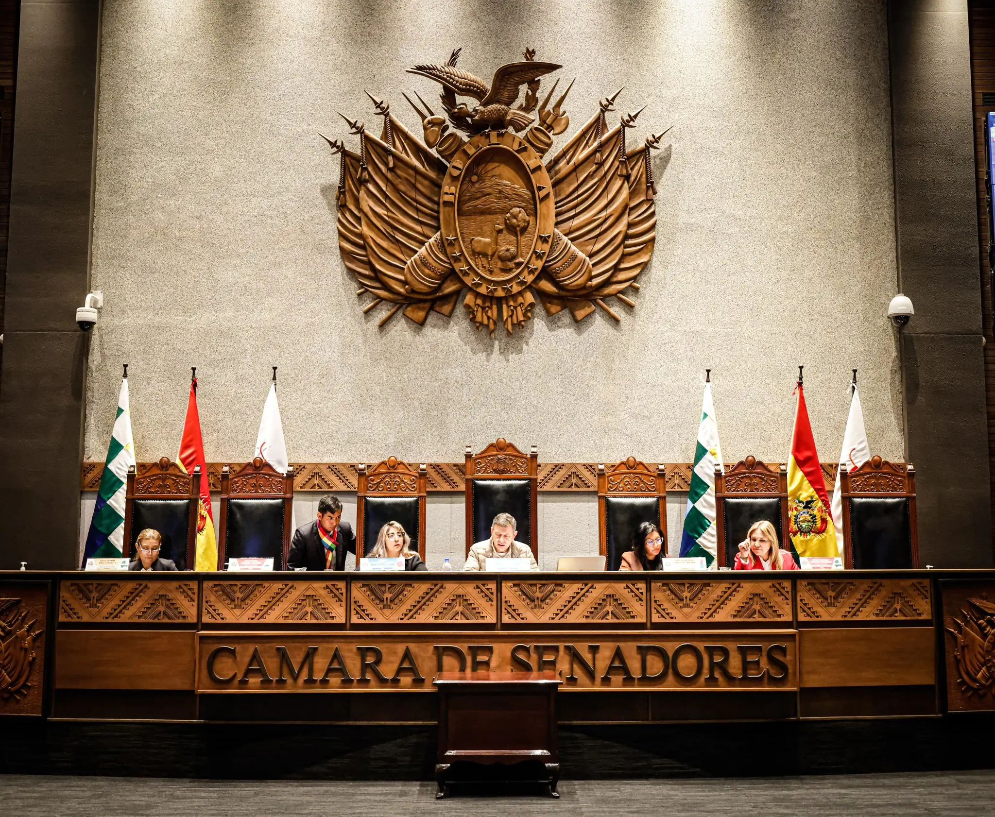 Senado aprueba en grande proyecto de ley para elecciones subnacionales