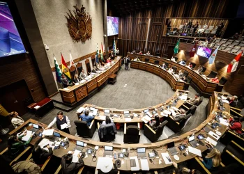 Senado aprueba en grande y detalle ley para las subnacionales y la remite a Diputados