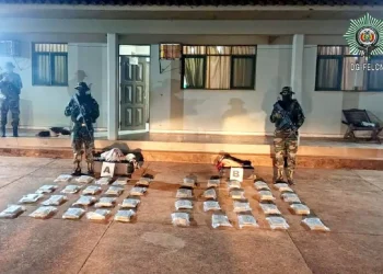 Parte de la droga incautada por la FELCN/FELCN