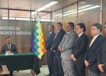 viceministros