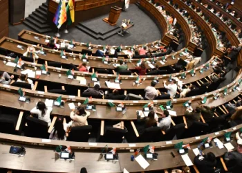 Sin dos tercios, Diputados falla en intento de priorizar ley de subnacionales