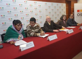 TSE define lineamientos para subnacionales y ajusta el calendario