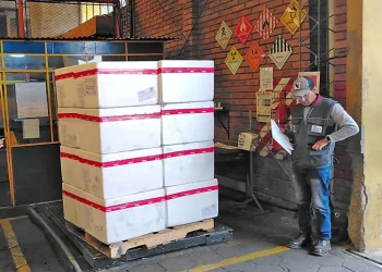 El Ministerio Salud anuncia arribo de vacunas contra la rabia