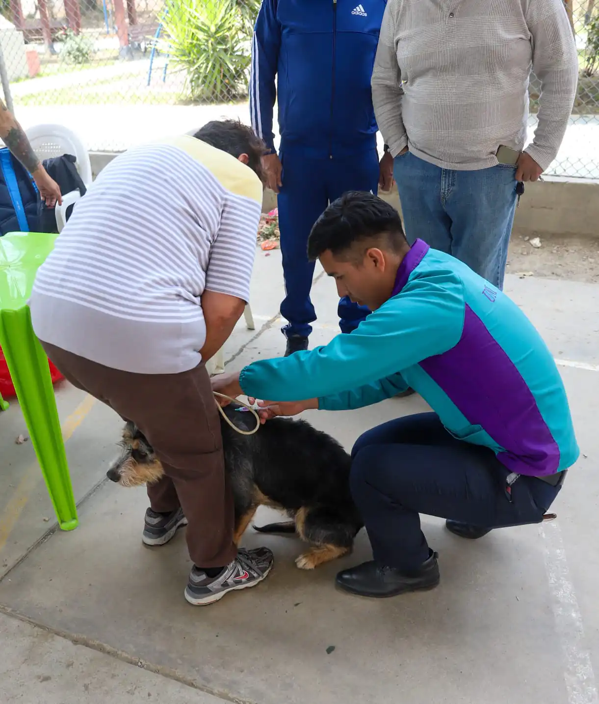 Cochabamba cumplió con la vacunación contra la rabia canina. FOTO: GAMC