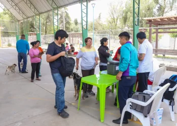 El municipio de Cochabamba alcanzó el 79% de cobertura de la campaña contra la rabia canina. FOTO: GAMC