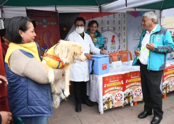 La Paz activa la campaña contra la rabia canina este 29 y 30 de noviembre