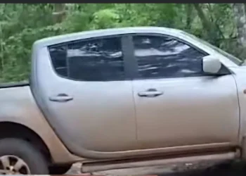 La camioneta fue abandonada en una zona boscosa/RRSS