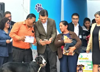 Más de dos millones de mascotas serán vacunadas este fin de semana