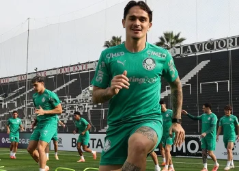 Datos del Palmeiras, finalista de la Copa Libertadores 2025