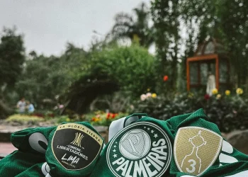 Hincha de Palmeiras muere en accidente antes de la final copera