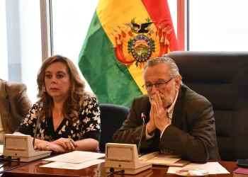 Juan del Granado preside la Comisión de Constitución de la Cámara de Diputados: Foto: APG