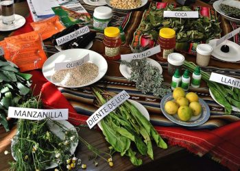 Gobierno lanza campaña para uso de medicina tradicional contra el COVID-19