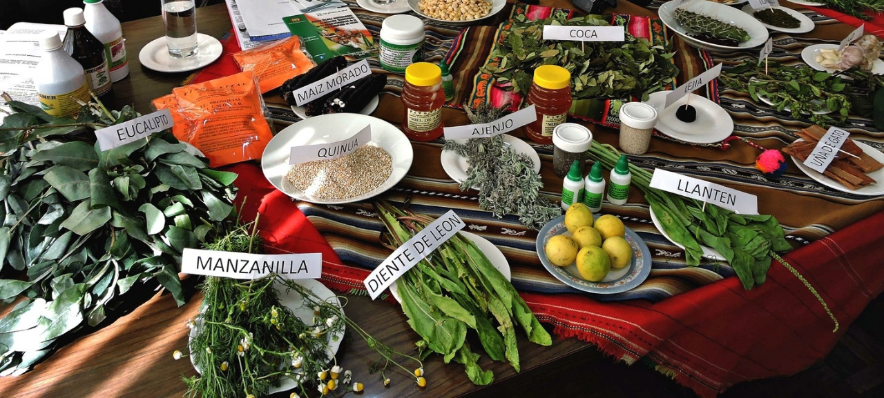 Gobierno lanza campaña para uso de medicina tradicional contra el COVID-19