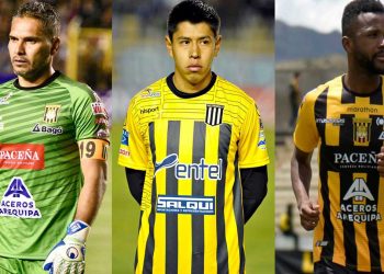 Vaca, Wayar y Barbosa renovaron con el Tigre para la temporada 2021
