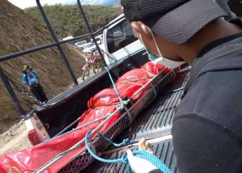 Vendedor de vehículos fue asesinado con 3 impactos de bala en la cabeza, hay tres detenidos