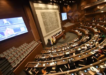 Resolución: La Asamblea tiene competencia en la elección de autoridades