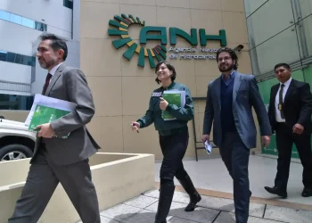 La ANH cambió a 100 funcionarios ante denuncias de irregularidades