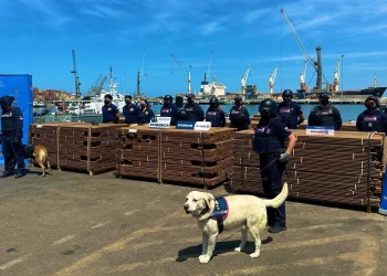 Representante de empresa es enviada a la cárcel por envío de droga en madera