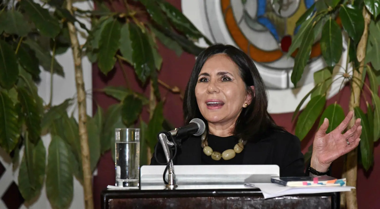 Excanciller Longaric retorna a Bolivia ‘tras cinco años de exilio’