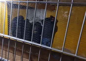 Los cinco policías quedaron aprehendidos. FOTO; FGE