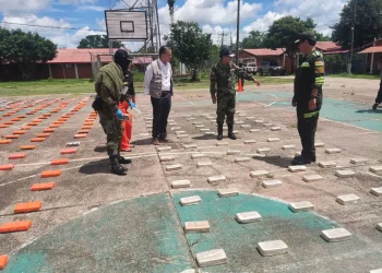 La FELCN incauta más de 600 kilos de cocaína en Beni