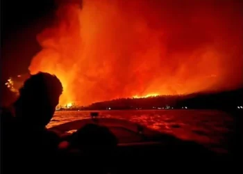 incendios_patagonia.jpg