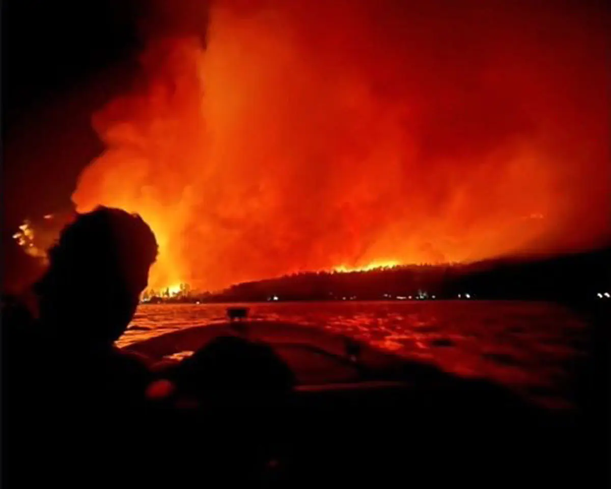 incendios_patagonia.jpg