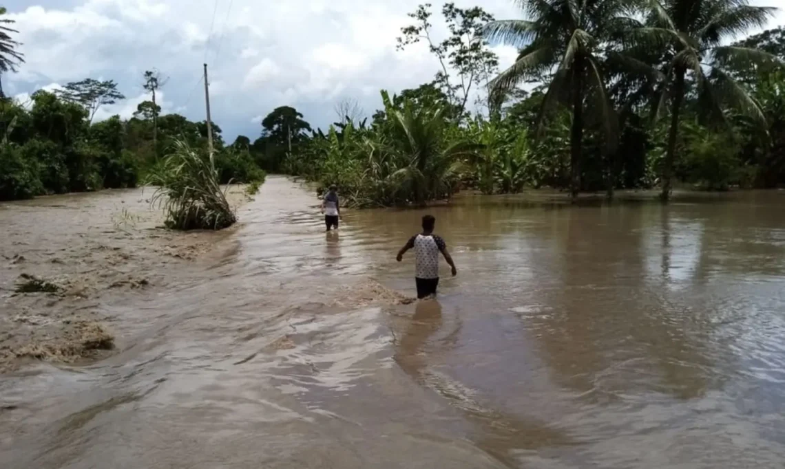 Hubo inundaciones en algunas regiones el año pasado/Archivo
