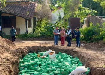 Destruyen más de 16 toneladas de semilla ilegal en Santa Cruz