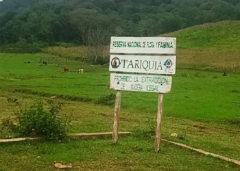 Tariquía