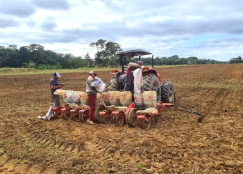 Empresariado paceño propondrá al BID proyectos para la ‘marcha al norte’