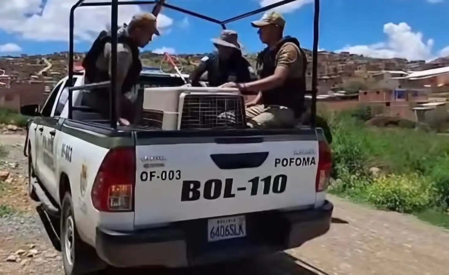 El can fue llevado a la Unidad de Zoonosis/Captura de pantalla