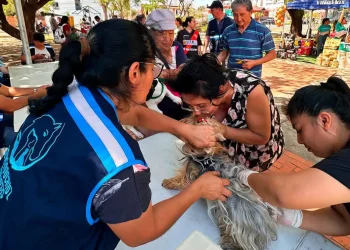 Las autoridades recomiendan a la población vacunar a sus mascotas/Alcaldía de Santa Cruz