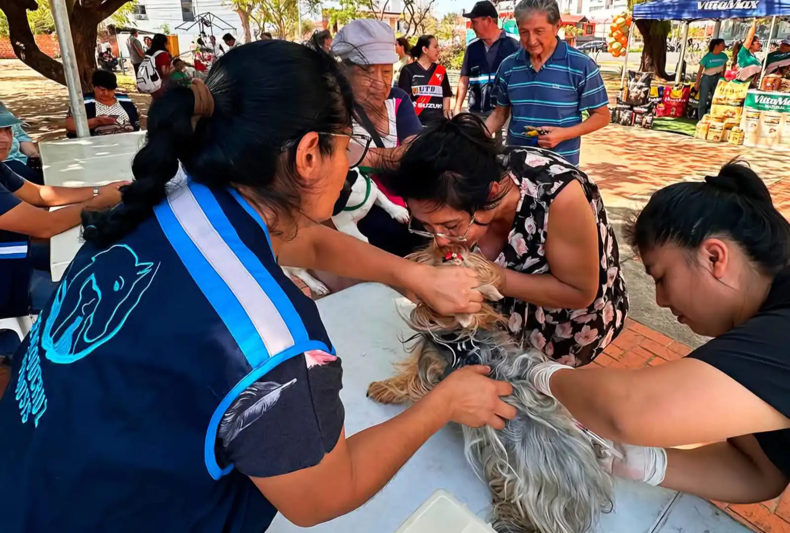 Las autoridades recomiendan a la población vacunar a sus mascotas/Alcaldía de Santa Cruz