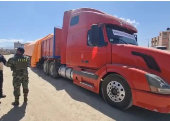Operativo conjunto incauta media tonelada de precursores químicos destinado al narcotráfico