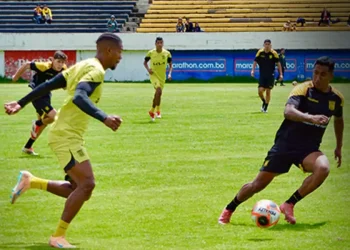 El Tigre modelo 2026 será presentado el día de la Alasita