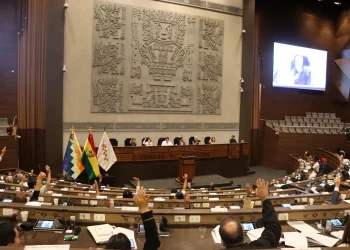 Diputados reanudará el martes la designación de vocales electorales departamentales
