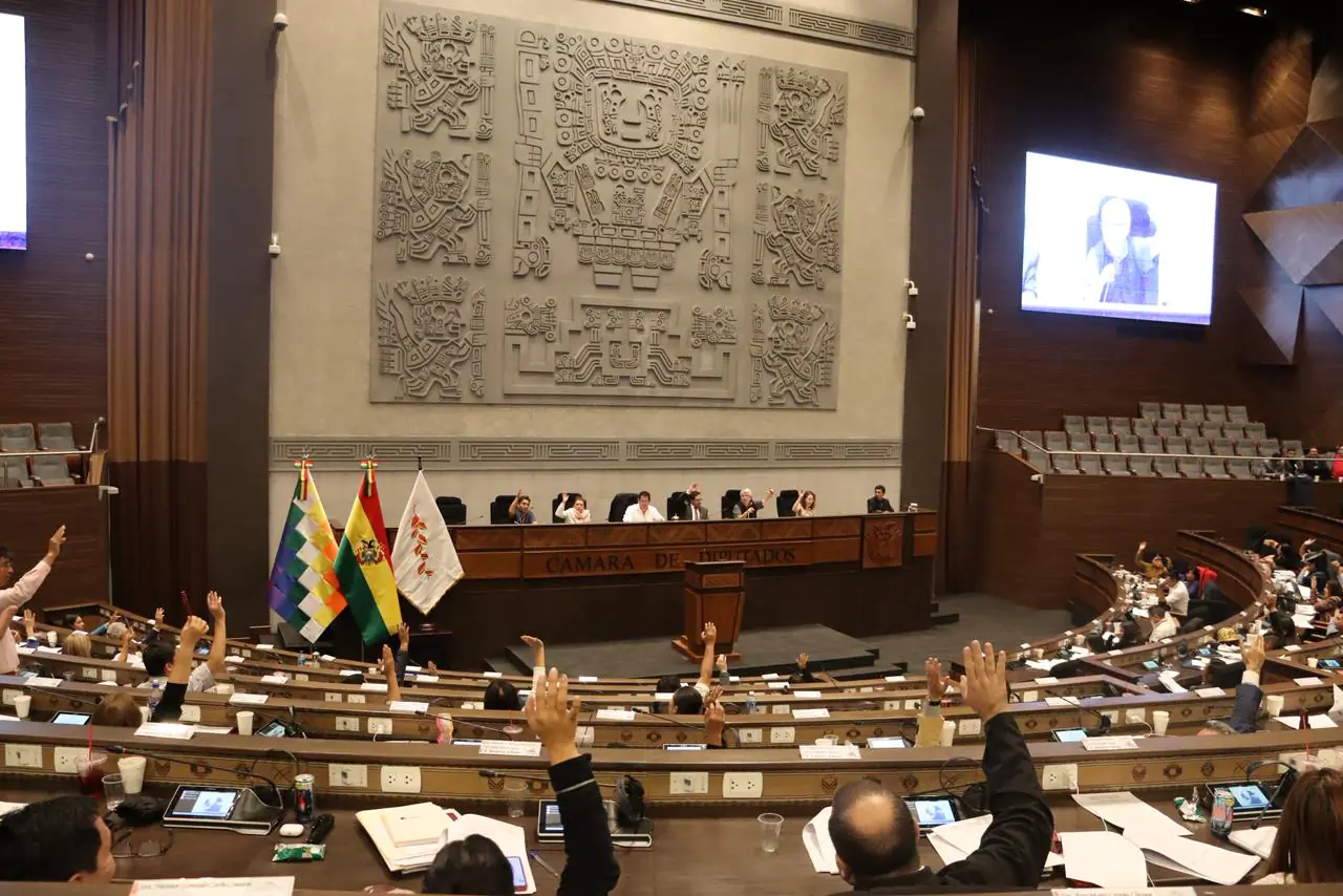 Diputados reanudará el martes la designación de vocales electorales departamentales