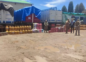 Gobierno afecta al contrabando en Bs 7,5 millones en enero