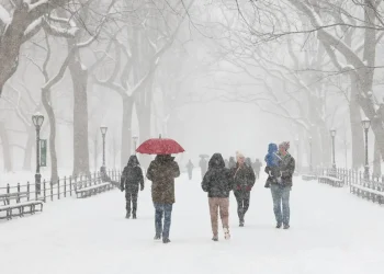 La gente camina por Central Park mientras cae nieve en la ciudad de Nueva York /AFP