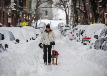 Una mujer pasea a su perro en la nieve por una calle en Boston/AFP