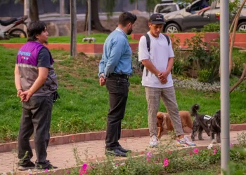 Zoonosis realiza controles en las calles de Cochabamba. FOTO: GAMC
