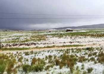 Granizadas afectan a 86 comunidades y 1.500 hectáreas de tierras en Cochabamba