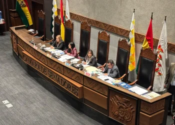 Presidenta del Senado presenta ley para restituir interpelación a ministros