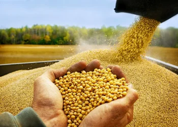 soya
