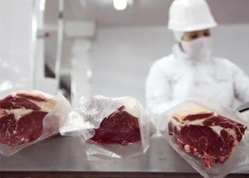 carne