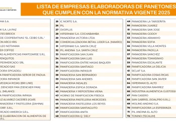 La lista de las marcas de panetones aprobadas para su consumo en el país. IMAGEN: Ministerio de Salud