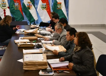 Recepción de postulaciones en la Comisión Mixta de Constitución. Foto: APG